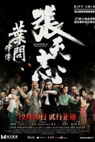 Mestre Z: O Legado de Ip Man