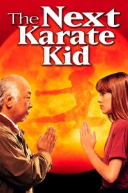 Karate Kid 4 – A Nova Aventura